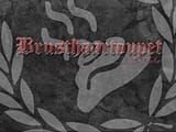 Brusthaartoupet ...an der Theke